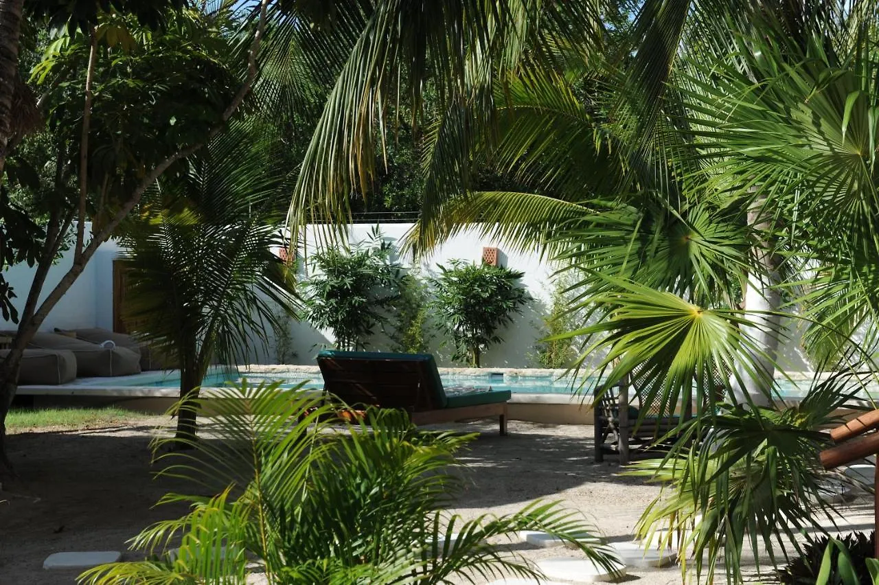 Bed and Breakfast Casa Blanca Isla Holbox Frühstückspension