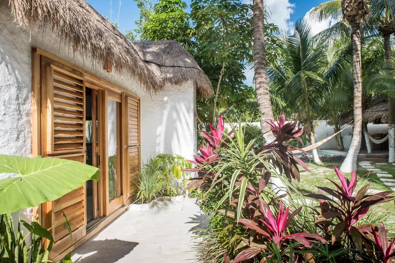 Bed and Breakfast Casa Blanca Isla Holbox Frühstückspension