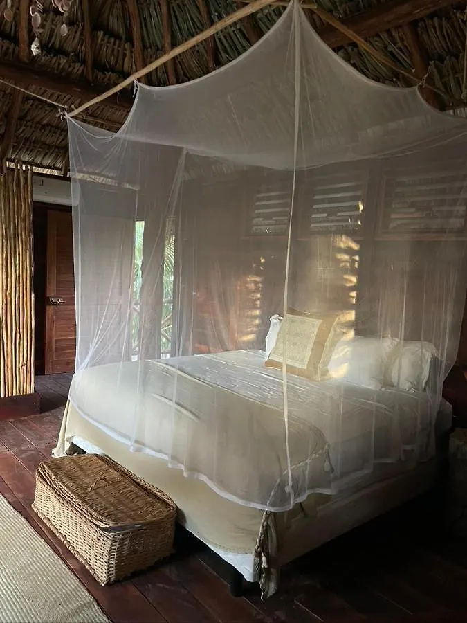 Couette-café Bed and Breakfast Casa Blanca à Holbox